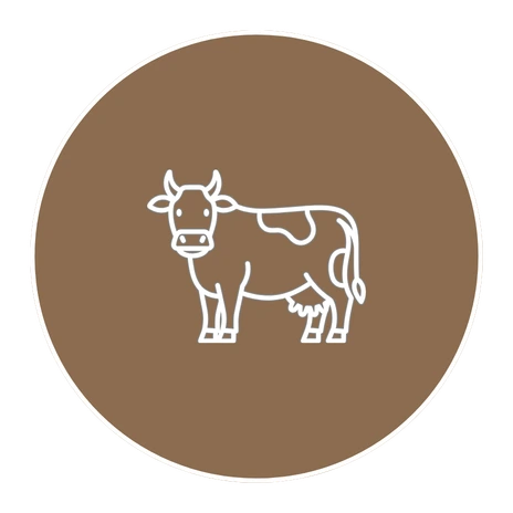 Operational icon