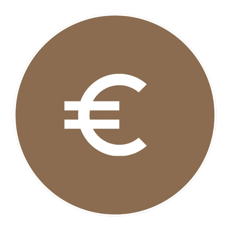 Euro icon