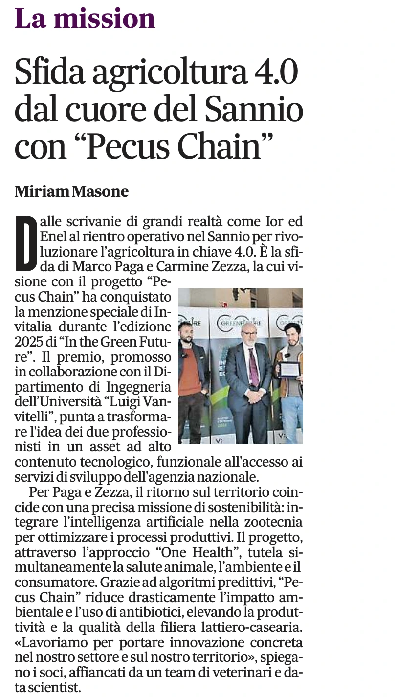 Article on Il Mattino